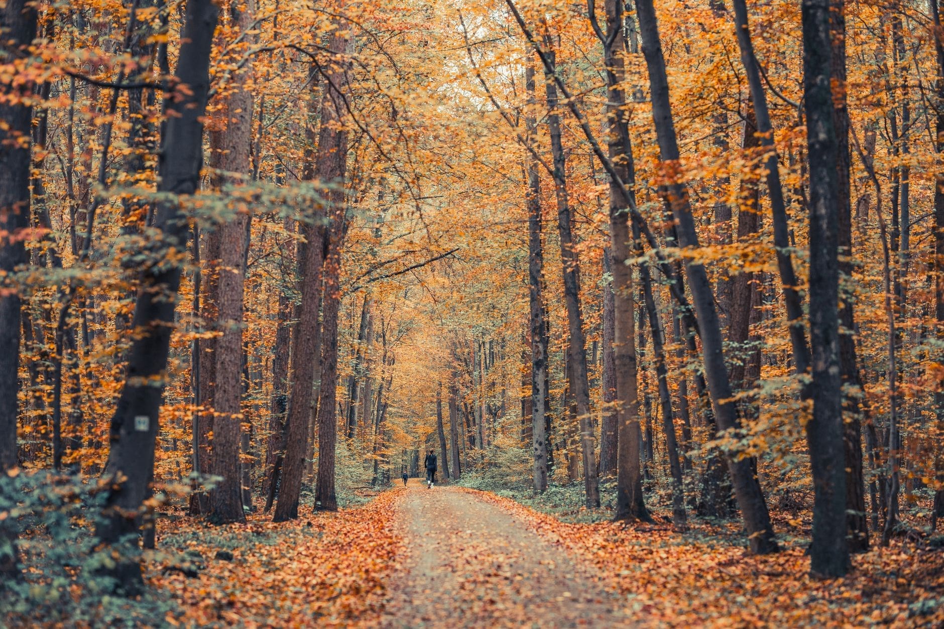 Building a Fall Wellness Routine That Sticks — Serenite Medical & Spa